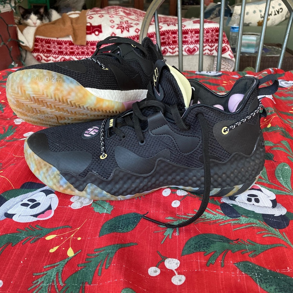 Adidas Harden 6